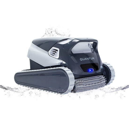 dolphin quantum robotic pool cleaner